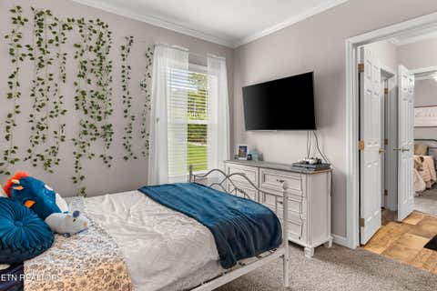 Tiny photo for 358 Webb Rd, Townsend, TN 37882 (MLS # 1349499)