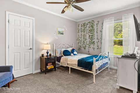 Tiny photo for 358 Webb Rd, Townsend, TN 37882 (MLS # 1349499)