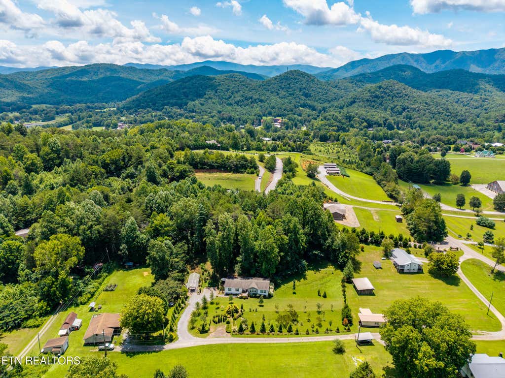 Photo of 358 Webb Rd, Townsend, TN 37882 (MLS # 1349499)