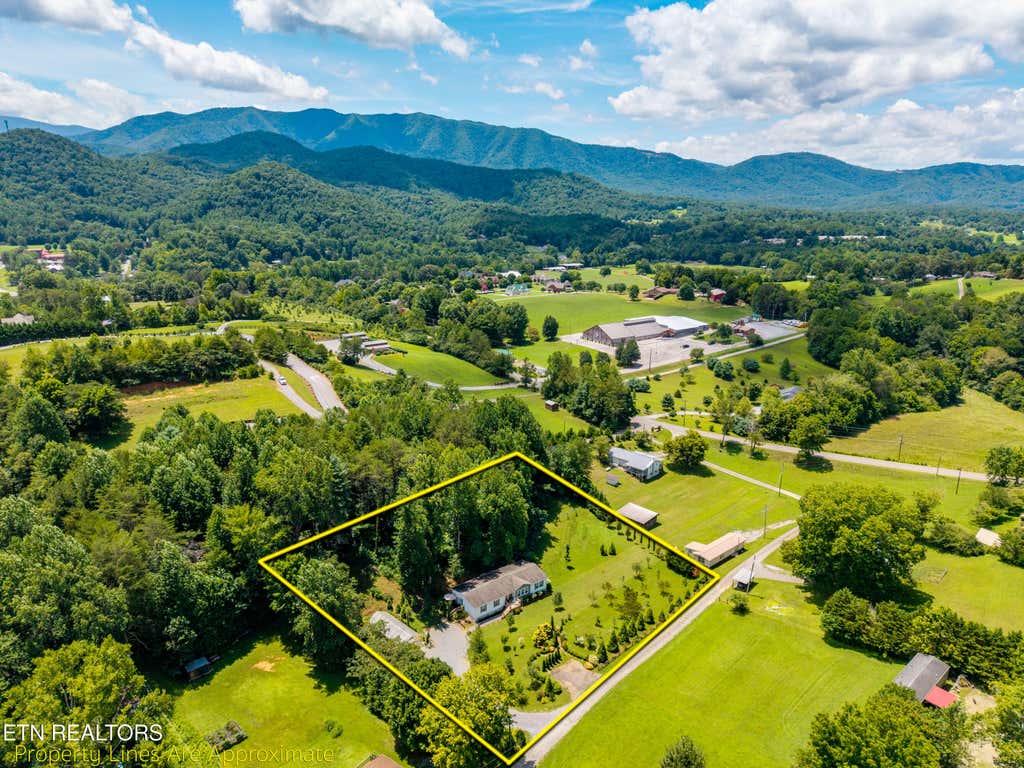 Photo of 358 Webb Rd, Townsend, TN 37882 (MLS # 1349499)