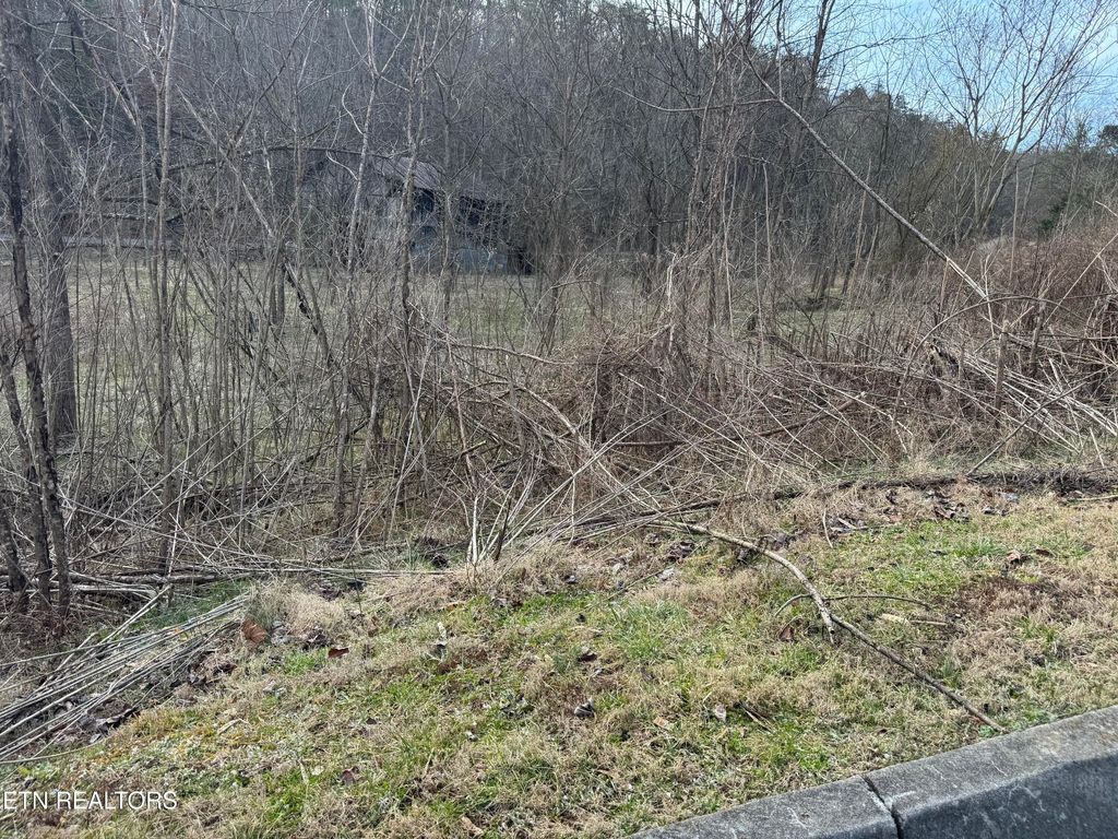 Photo of 14 Katelyns Lane, Sevierville, TN 37876 (MLS # 1332799)