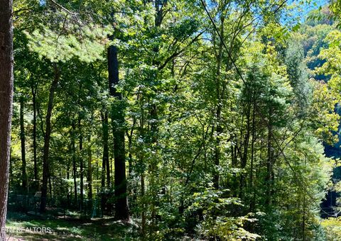Tiny photo for 3637 Cool Creek Rd, Sevierville, TN 37862 (MLS # 1320926)