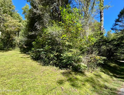 Tiny photo for 3637 Cool Creek Rd, Sevierville, TN 37862 (MLS # 1320926)