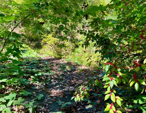 Tiny photo for 3637 Cool Creek Rd, Sevierville, TN 37862 (MLS # 1320926)