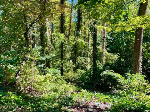 Tiny photo for 3637 Cool Creek Rd, Sevierville, TN 37862 (MLS # 1320926)
