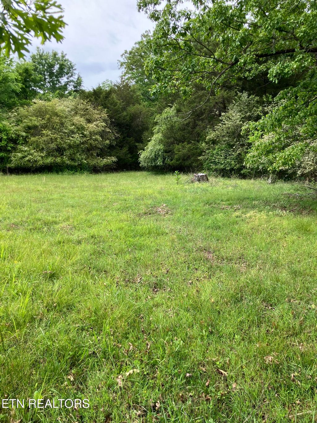 Photo of 26450 Stockton Valley Rd, Philadelphia, TN 37846 (MLS # 1341595)