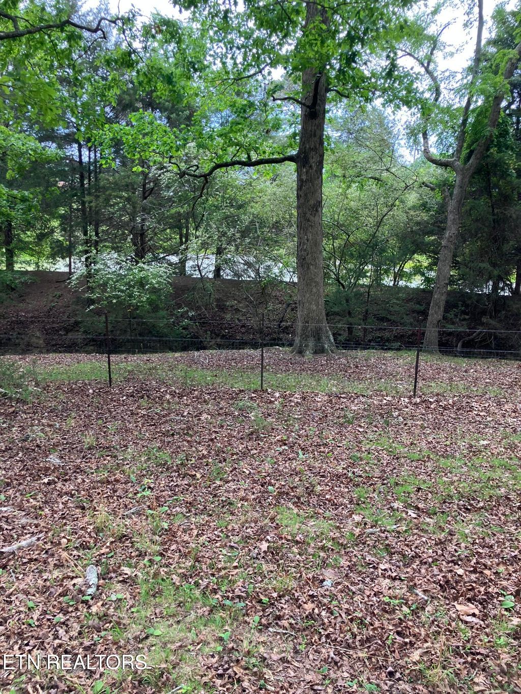 Photo of 26450 Stockton Valley Rd, Philadelphia, TN 37846 (MLS # 1341595)