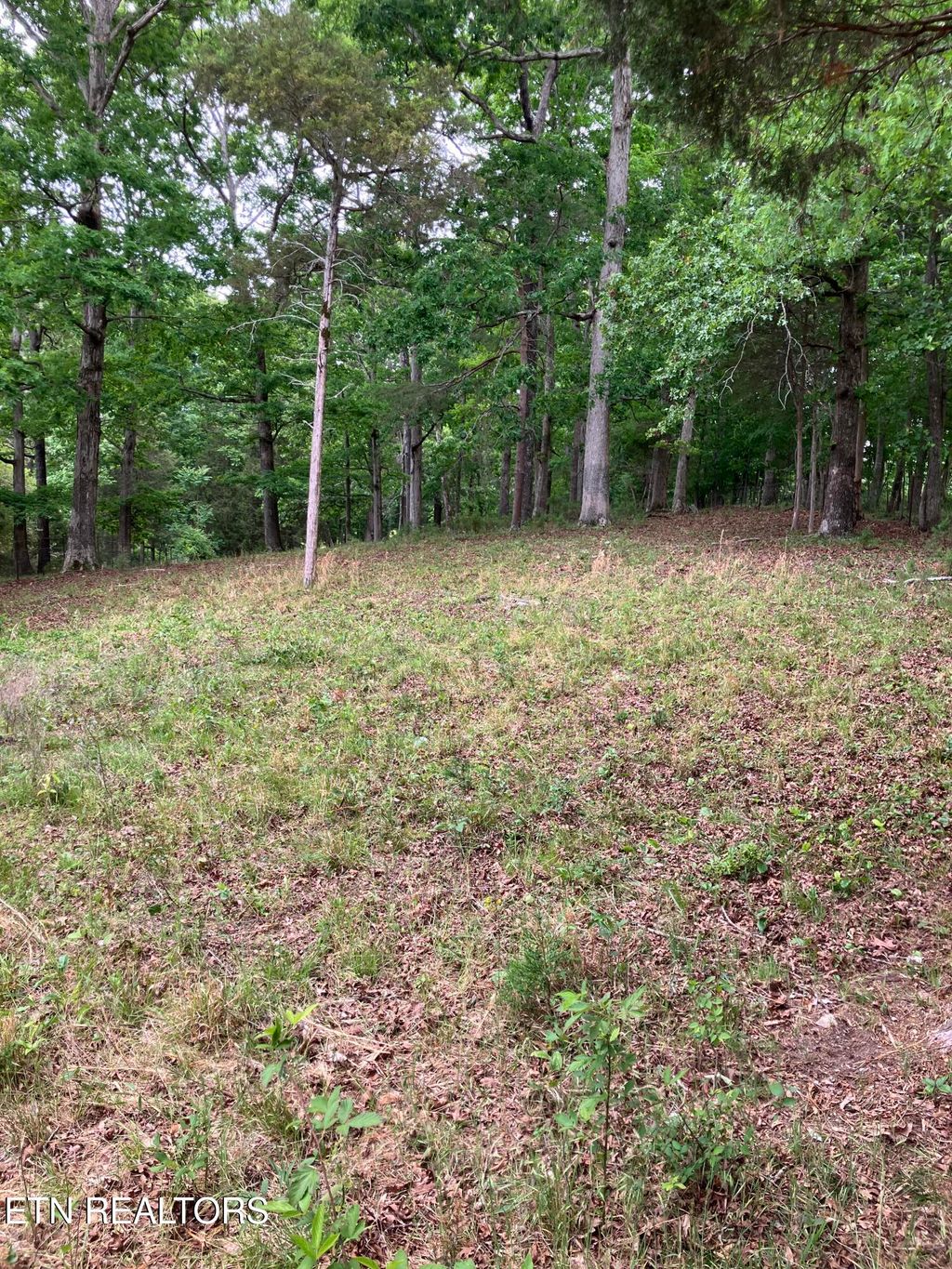 Photo of 26450 Stockton Valley Rd, Philadelphia, TN 37846 (MLS # 1341595)