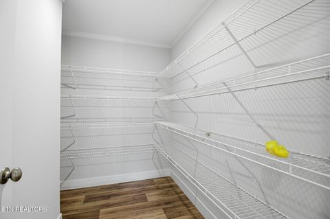 Tiny photo for 370 Tanasi Drive, Newport, TN 37821 (MLS # 1322224)