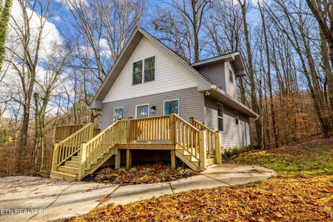 Photo of 3883 Freels Rd, Friendsville, TN 37737 (MLS # 1323090)