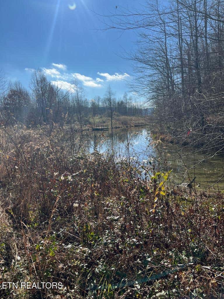 Photo of Howard Baker Hwy, Pioneer, TN 37847 (MLS # 1334912)