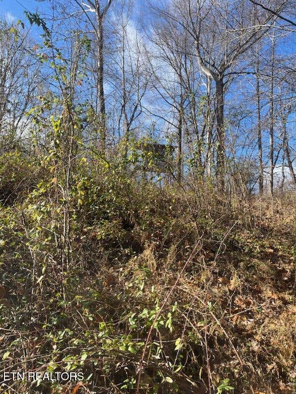 Photo of Howard Baker Hwy, Pioneer, TN 37847 (MLS # 1334912)