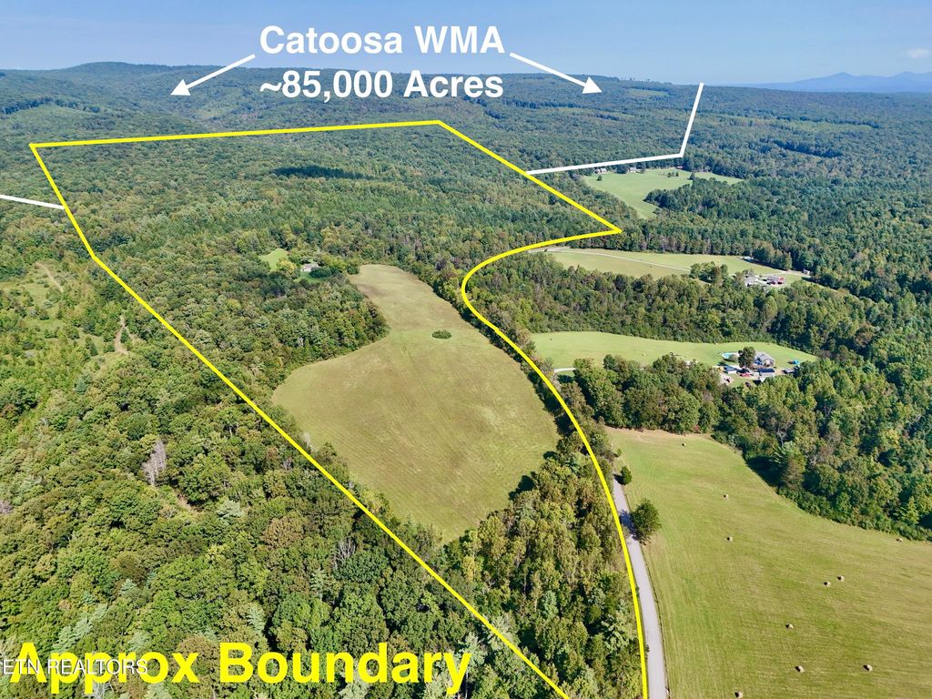Photo of 777 WMA Rd, Rockwood, TN 37854 (MLS # 1293712)