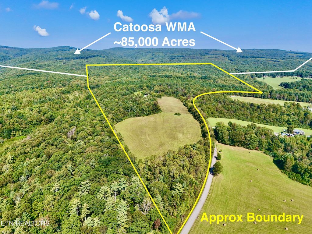 Photo of 777 WMA Rd, Rockwood, TN 37854 (MLS # 1293712)