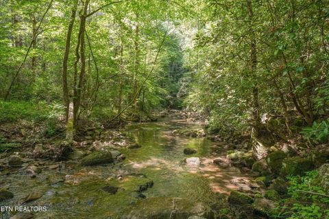 Photo of 1322 E Millers Cove Rd, Walland, TN 37886 (MLS # 1342021)