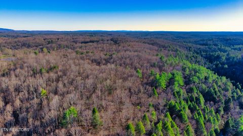 Photo of 5 Ervin Brown Rd #Tract 5, Sunbright, TN 37872 (MLS # 1336260)