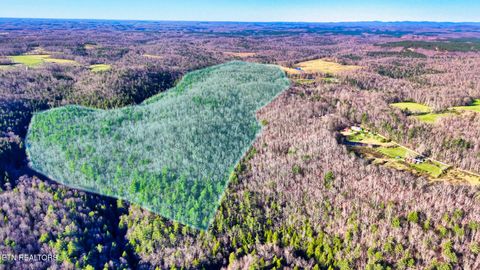Tiny photo for 5 Ervin Brown Rd #Tract 5, Sunbright, TN 37872 (MLS # 1336260)