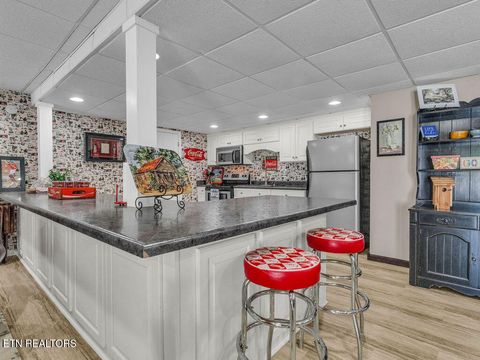 Tiny photo for 281 Cottage Drive, Ten Mile, TN 37880 (MLS # 1346939)