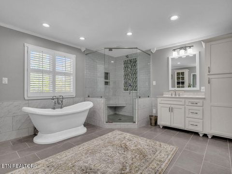 Tiny photo for 281 Cottage Drive, Ten Mile, TN 37880 (MLS # 1346939)