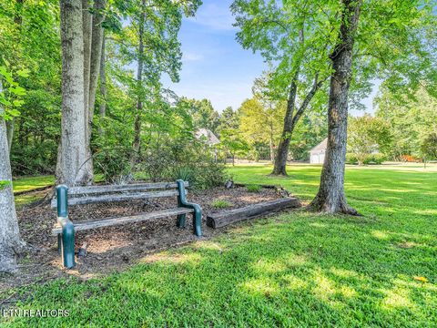 Tiny photo for 281 Cottage Drive, Ten Mile, TN 37880 (MLS # 1346939)