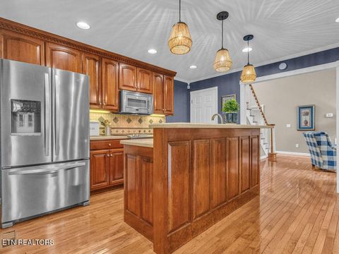 Tiny photo for 281 Cottage Drive, Ten Mile, TN 37880 (MLS # 1346939)