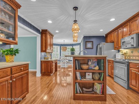 Tiny photo for 281 Cottage Drive, Ten Mile, TN 37880 (MLS # 1346939)