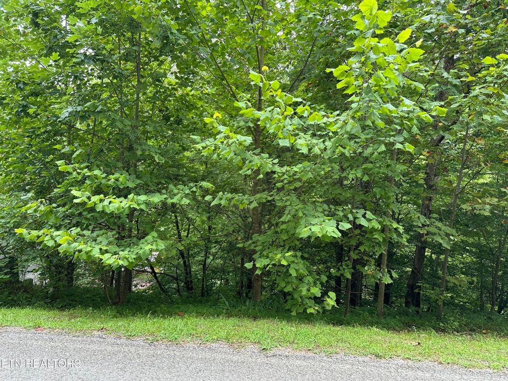 Photo of 2122 Ridge Rd, Caryville, TN 37714 (MLS # 1322970)