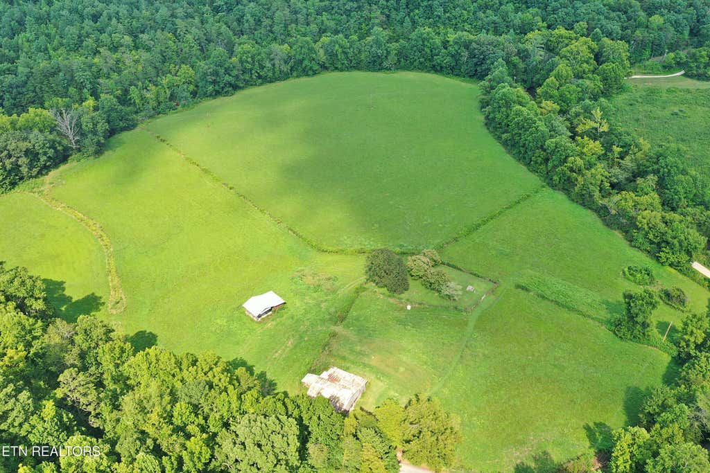 Photo of 7914 Brimstone Rd, Robbins, TN 37852 (MLS # 1352288)