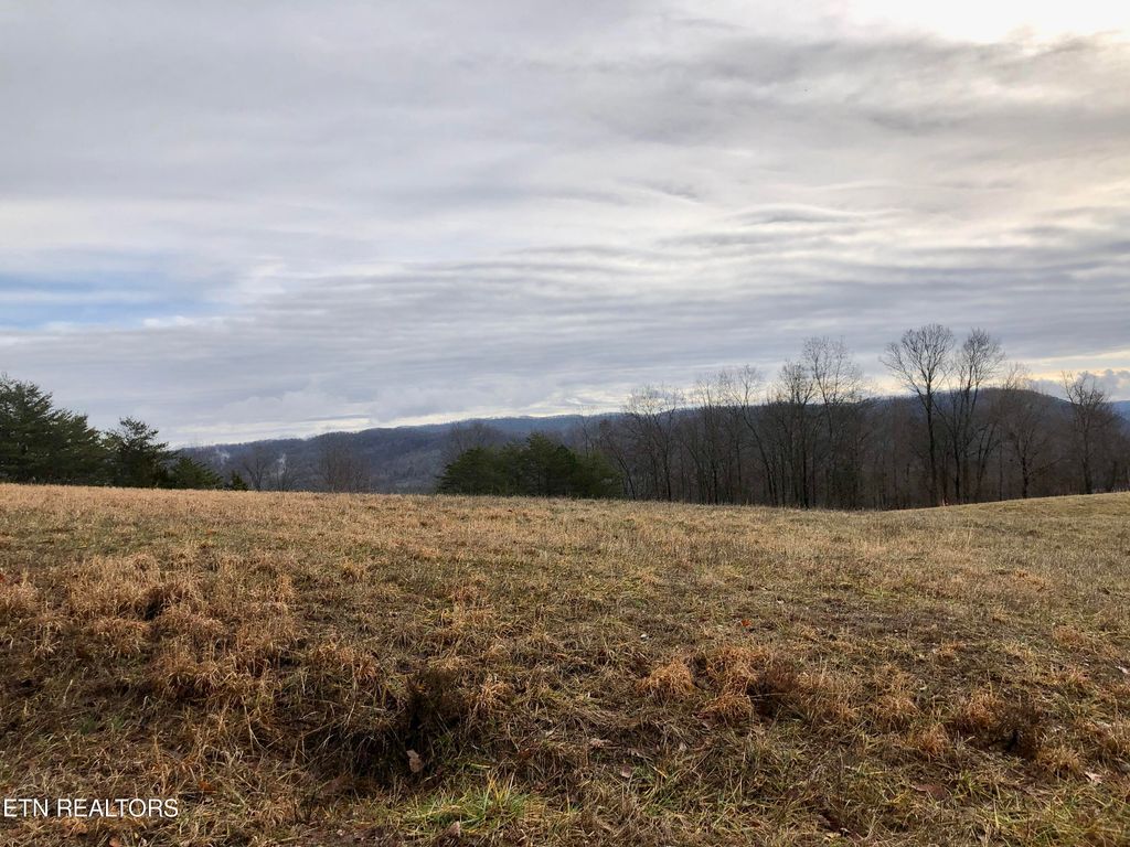 Photo of Smokey Quartz Blvd, New Tazewell, TN 37825 (MLS # 1251797)