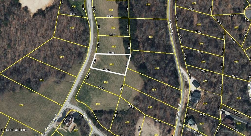 Photo of Smokey Quartz Blvd, New Tazewell, TN 37825 (MLS # 1251797)
