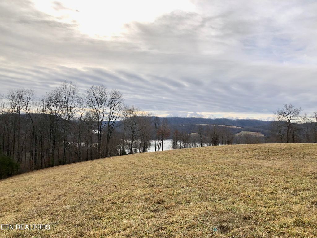 Photo of Smokey Quartz Blvd, New Tazewell, TN 37825 (MLS # 1251797)