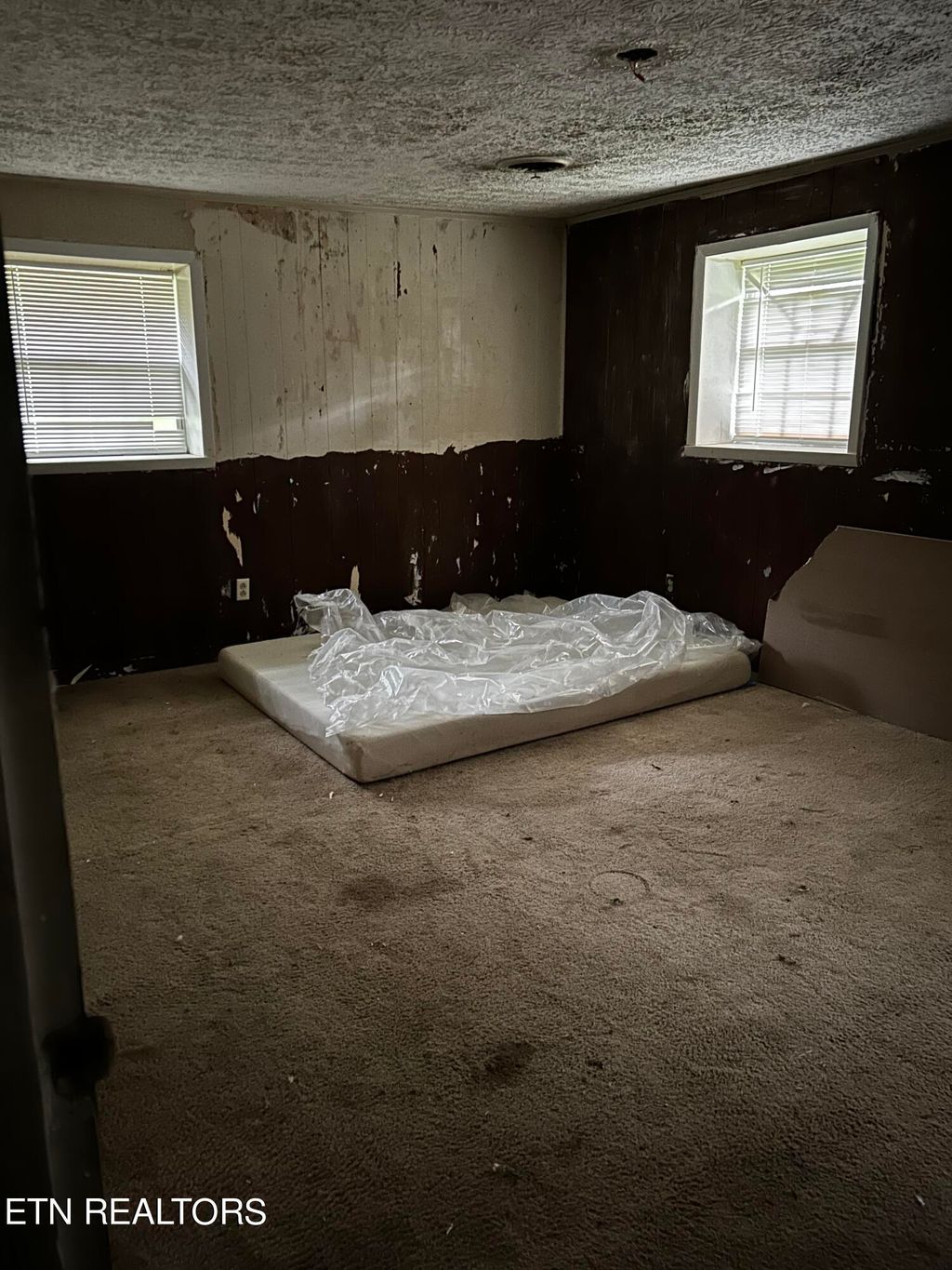 Photo of 114 Clare Lane, Wartburg, TN 37887 (MLS # 1273840)