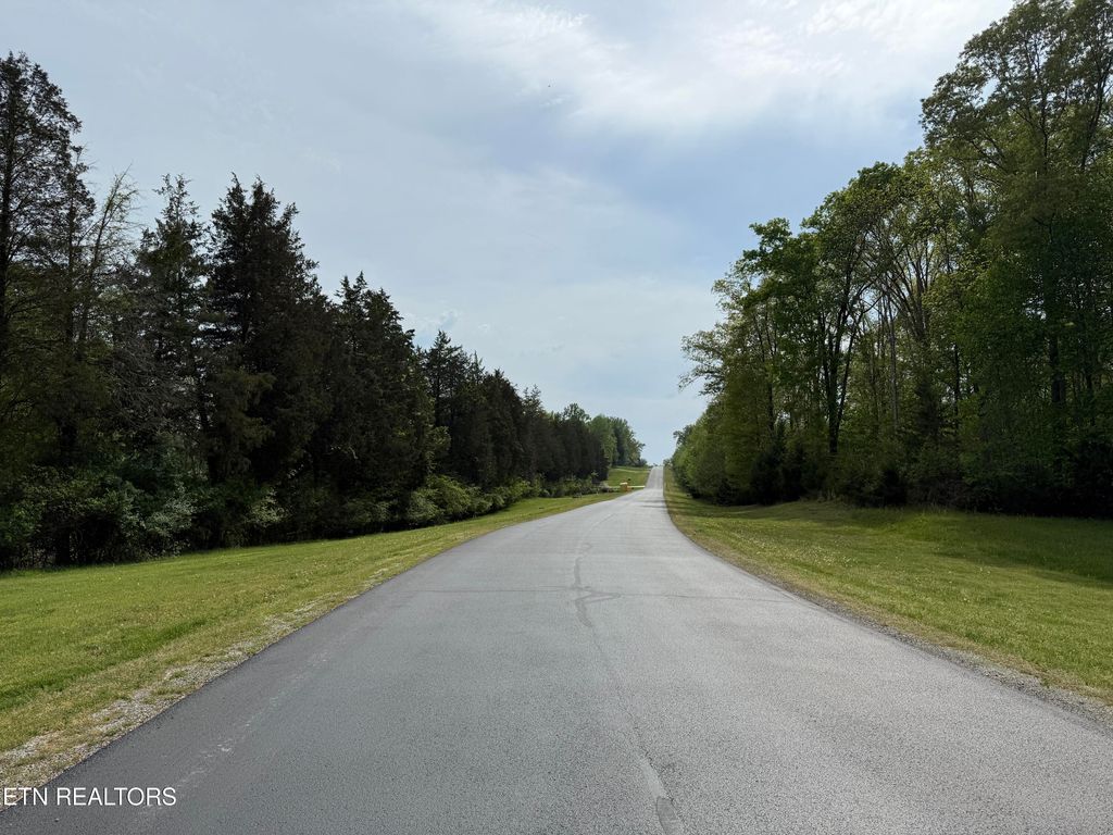 Photo of 203 W. Shore Dr., Rockwood, TN 37854 (MLS # 1298428)