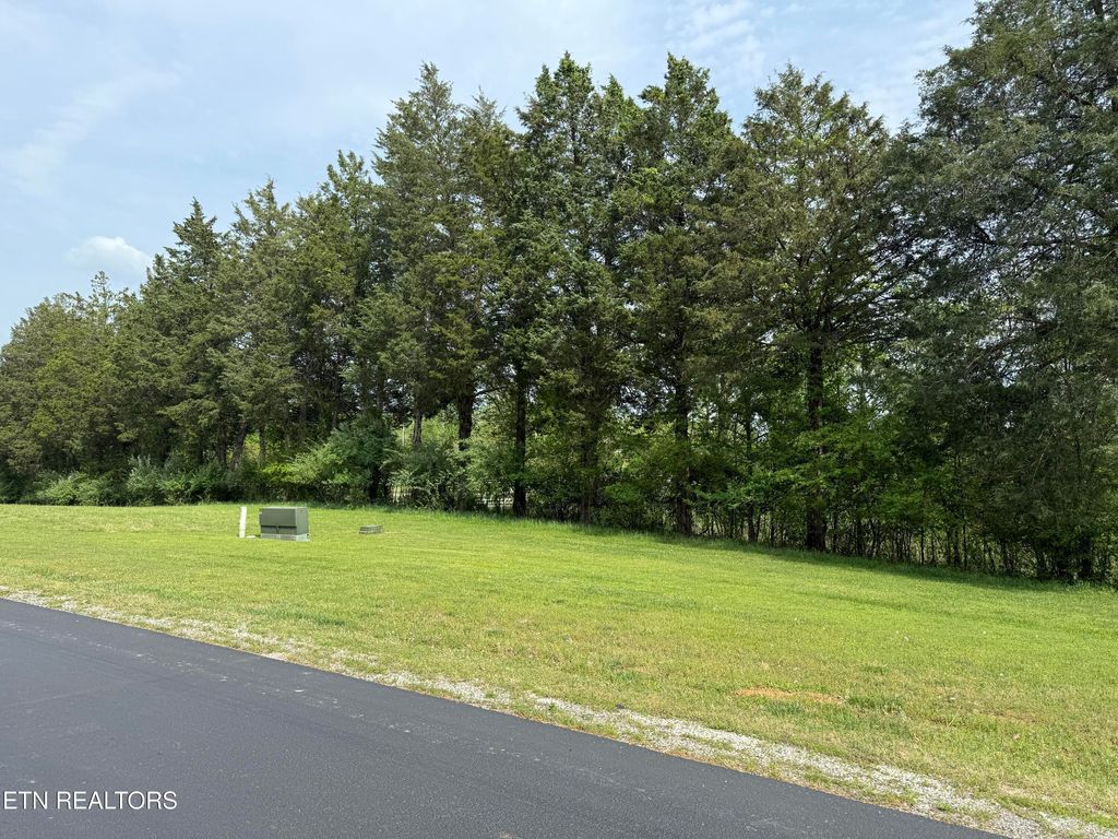 Photo of 203 W. Shore Dr., Rockwood, TN 37854 (MLS # 1298428)