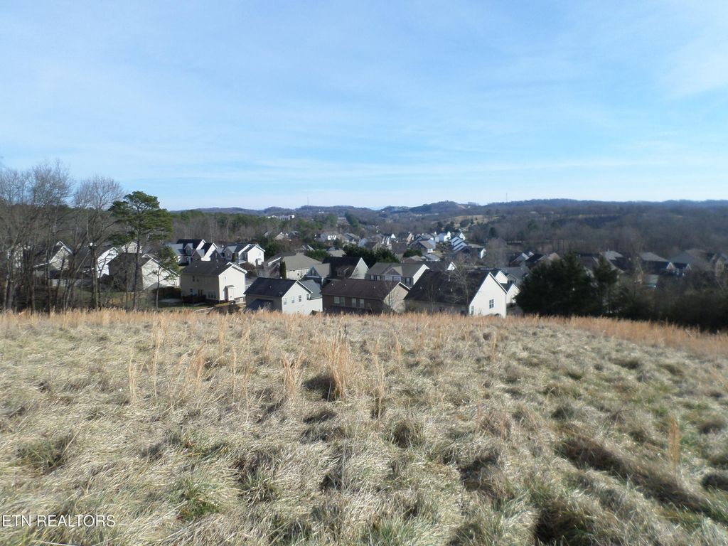 Photo of 2 Dogwood Rd, Knoxville, TN 37931 (MLS # 1330615)