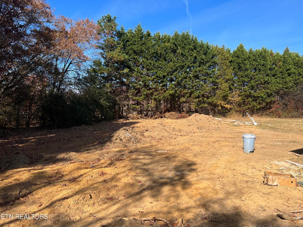 Photo of 845 Alley Drive, Friendsville, TN 37737 (MLS # 1245962)