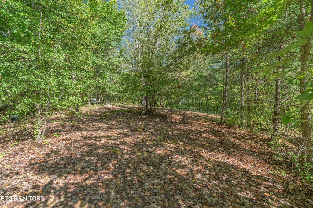 Photo of 147 Old Jones Rd, Harriman, TN 37748 (MLS # 1359332)