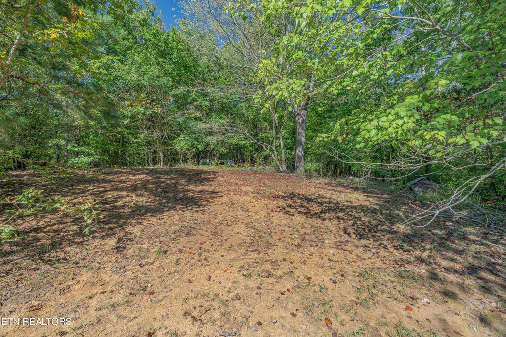 Photo of 147 Old Jones Rd, Harriman, TN 37748 (MLS # 1359332)