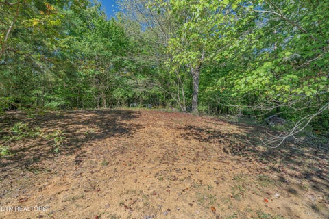 Tiny photo for 147 Old Jones Rd, Harriman, TN 37748 (MLS # 1359332)