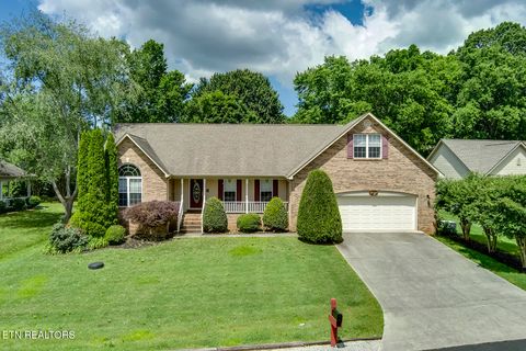 309 Saligugi Lane Loudon TN 37774