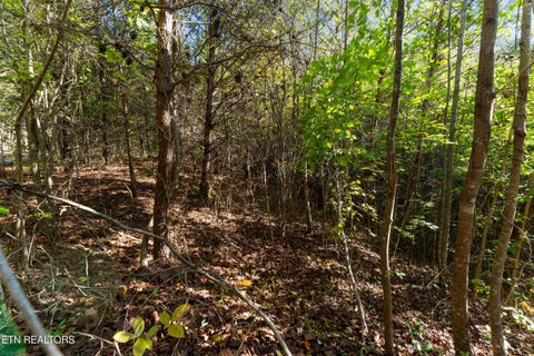 Tiny photo for 22 Culverts Cove, Maryville, TN 37801 (MLS # 1359510)