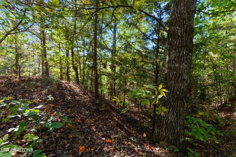 Tiny photo for 22 Culverts Cove, Maryville, TN 37801 (MLS # 1359510)