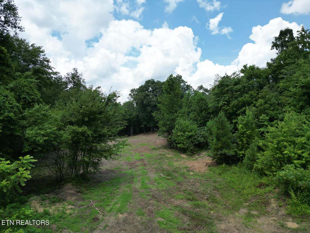 Photo of Sheep Ranch Rd, Robbins, TN 37852 (MLS # 1326484)
