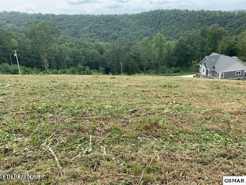 Photo of Mountain Way, Sharps Chapel, TN 37866 (MLS # 1340986)