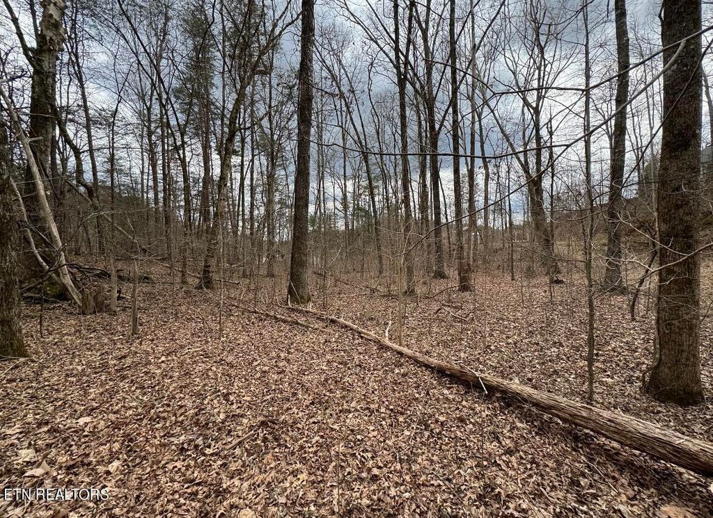 Photo of Mt Vista Drive, Vonore, TN 37885 (MLS # 1257780)