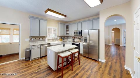 Tiny photo for 125 Eladi Tr, Vonore, TN 37885 (MLS # 1325343)