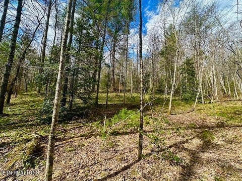 Photo of 144 Gunter Place Rd #2, Sunbright, TN 37872 (MLS # 1357634)