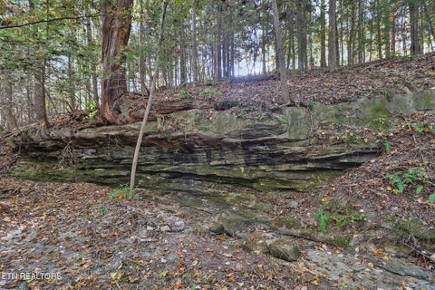 Tiny photo for 728 Deer Haven Tr, Jamestown, TN 38556 (MLS # 1360020)
