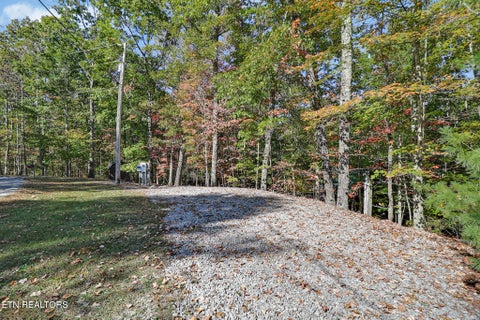 Tiny photo for 728 Deer Haven Tr, Jamestown, TN 38556 (MLS # 1360020)