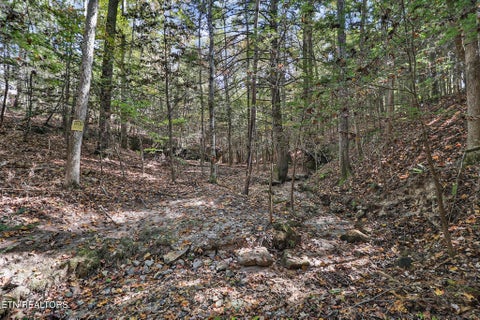 Tiny photo for 728 Deer Haven Tr, Jamestown, TN 38556 (MLS # 1360020)